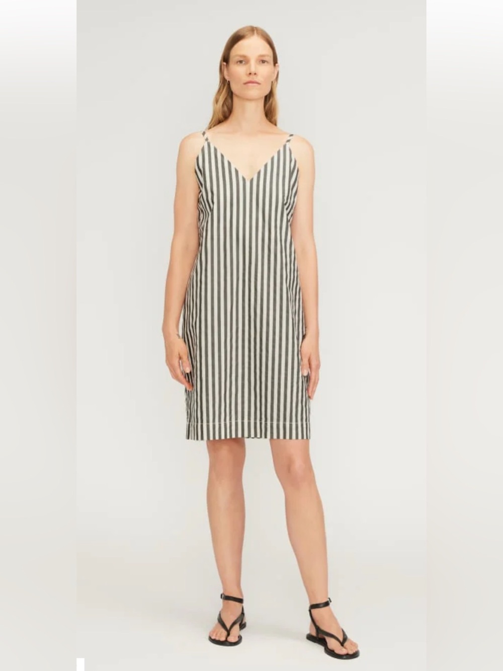 Everlane The Poplin Slip Dress Grey & White Vertical Stripe. Size 10.